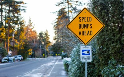 Do Speed Bumps Actually Work?